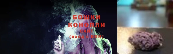 сатива Медвежьегорск