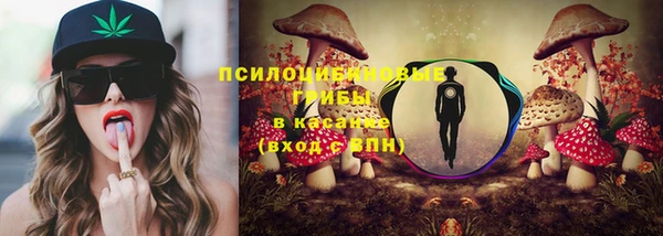 сатива Медвежьегорск