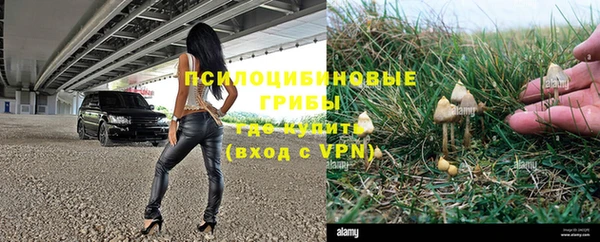 сатива Медвежьегорск