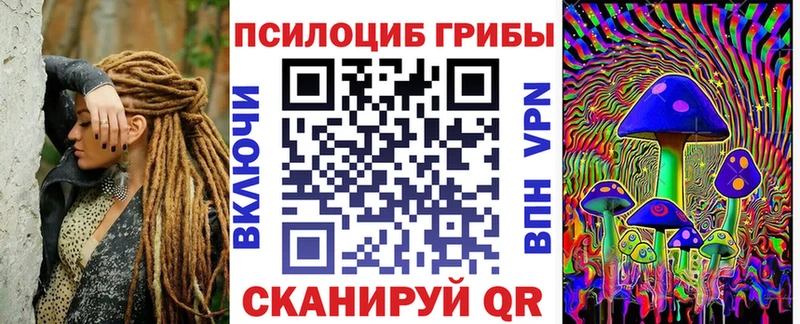 Купить  Алупка  Псилоцибиновые грибы мицелий 